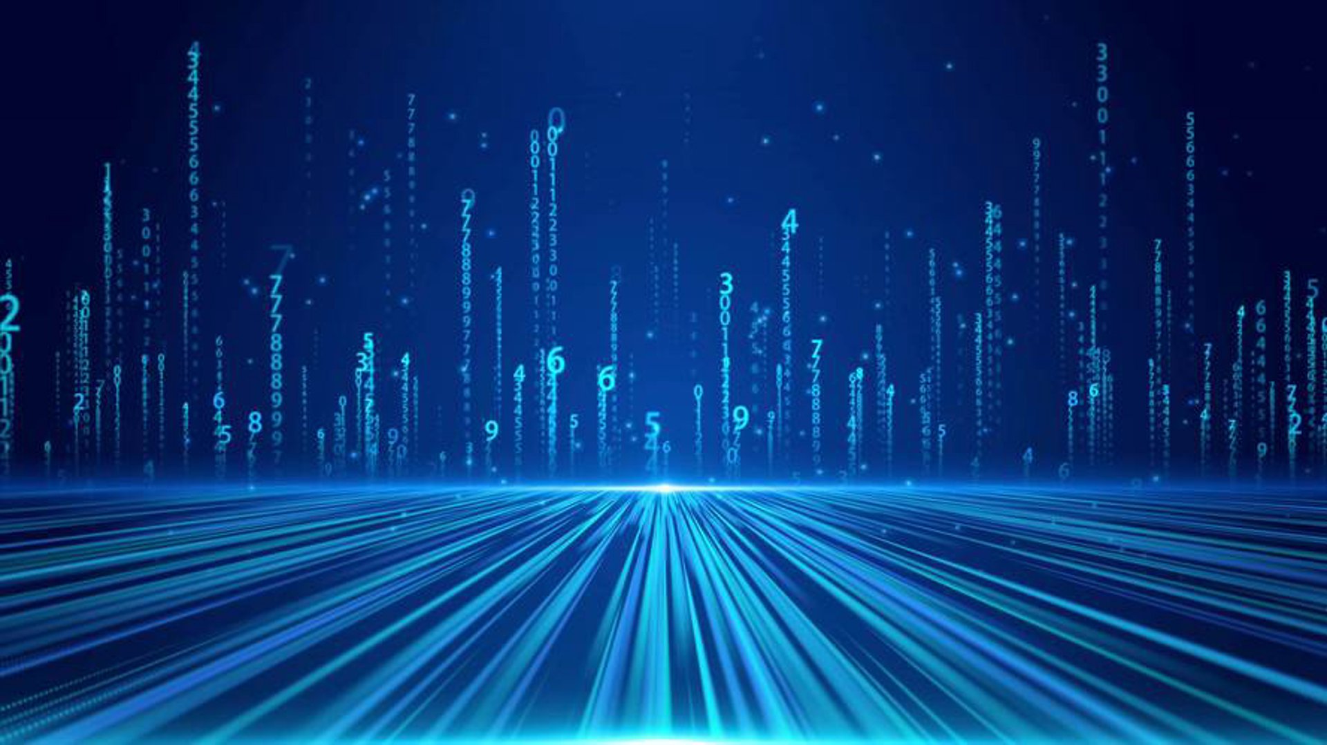 简兮网络科技